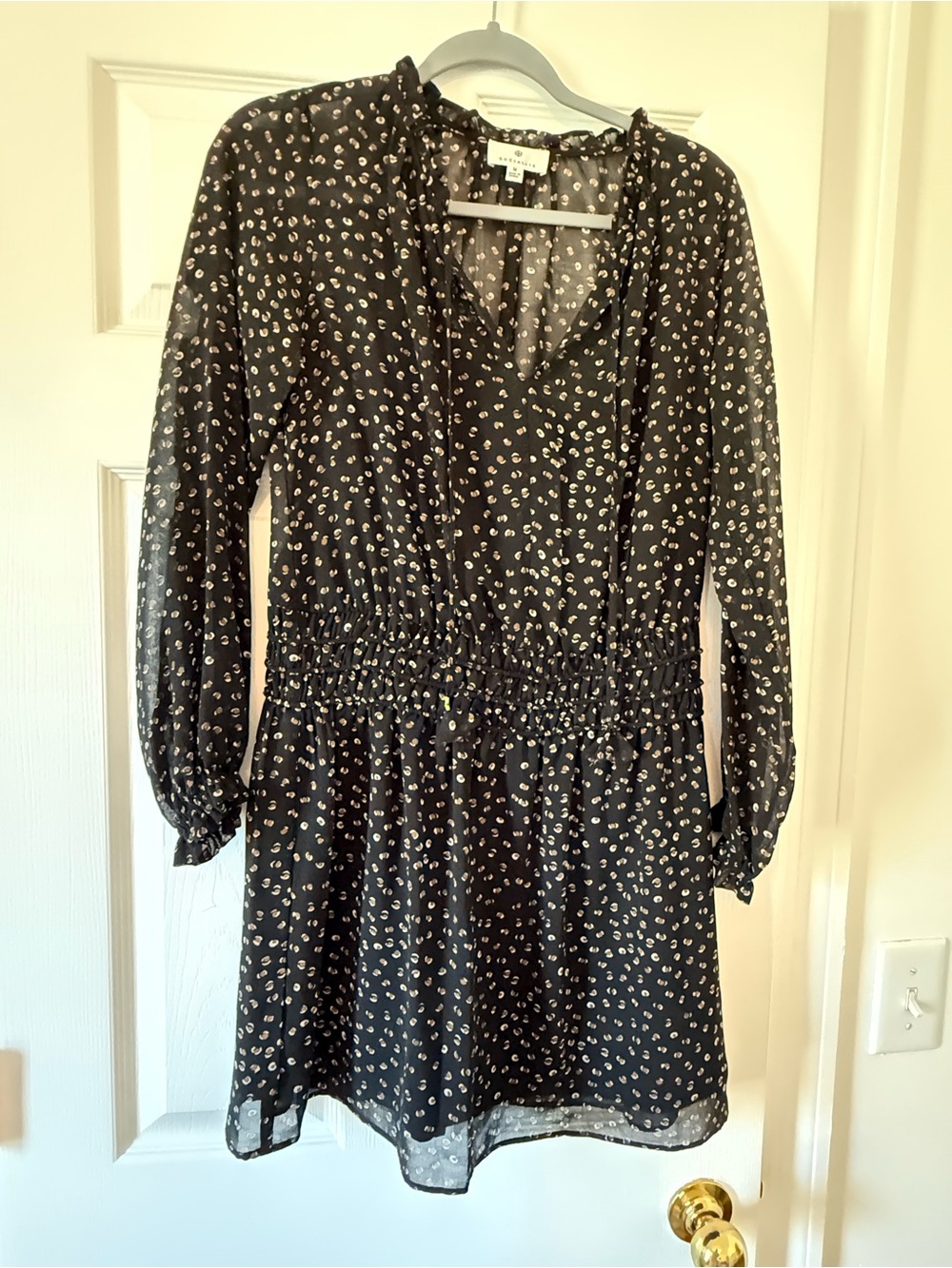 Women's Sheer Black Long-Sleeve Smocked Waist Mini Dress with Slip